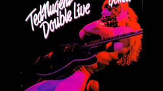 Ted Nugent   Stormtroopin&#39;   Double Live Gonzo 1978