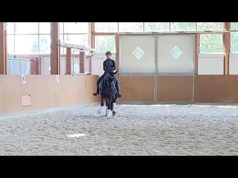 Stute v.Desperados FRH