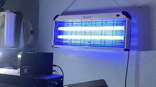 Aspectek fly trap or bug zapper replacement