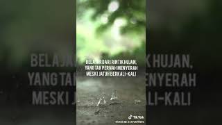 Download lagu Story wa keren mantap jiwa mp3