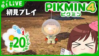 終わり…じゃありませんでした！！【ピクミン4初見プレイ】 #おはようvtuber  #20