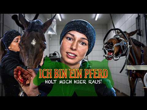 Clara braucht Hilfe 🫣