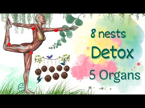 Five Organs Detox by Tapping the Eight Nests / TCM detox naturall