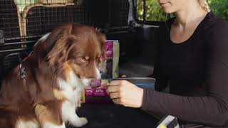 Doppel-Reisenapf Camp Fire