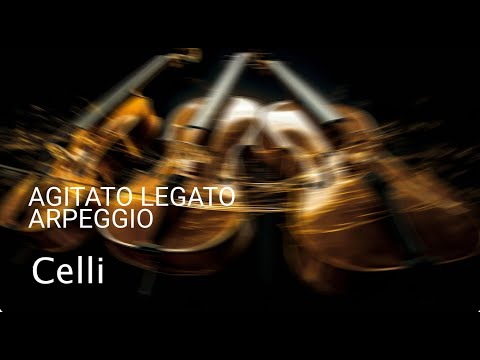 8Dio   Agitato Legato Arpeggio Cello