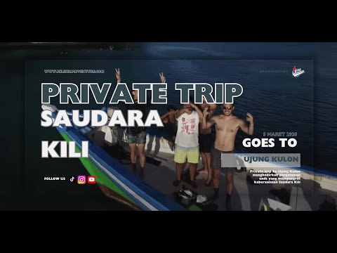 Video 15