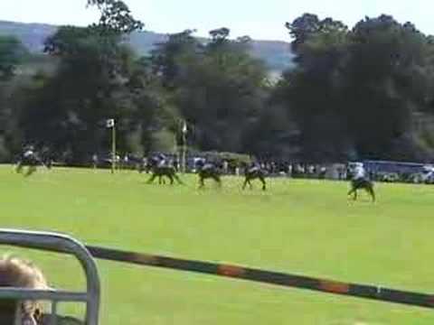 polo match