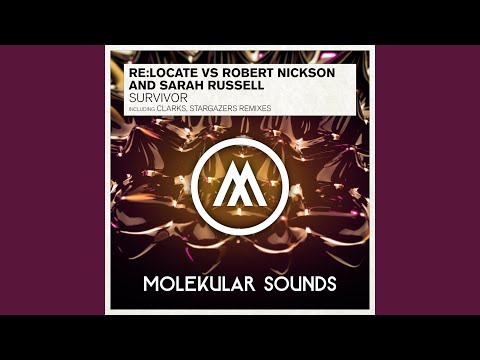 Survivor (Stargazers Radio Edit)