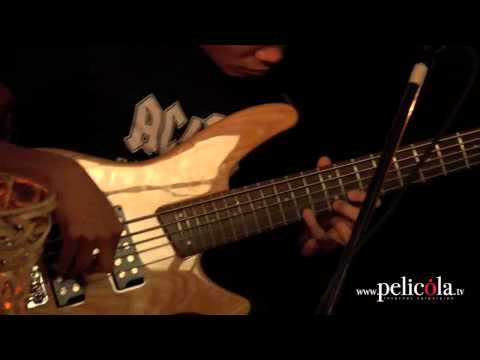 Alive At The Womb (Season 1) featuring SHOTGUN LOLA