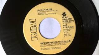 Green Snakes On The Ceiling , Johnny Bush , 1973 Vinyl 45RPM