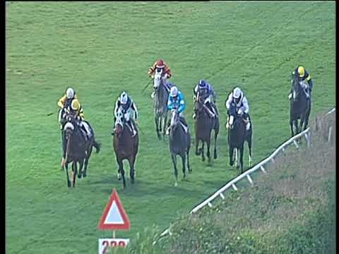 Galoppo 03/02/2018 - 5ª corsa