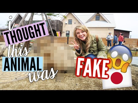 NASU, JAPAN// Touching the Largest Rodent in the World & My First Luxury Hot Spring Experience