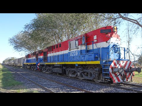 Cruce de trenes de NCA en Arroyo Cabral