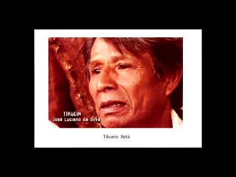 Xetá mantém resistência frente ação de reintegração de posse no Paraná