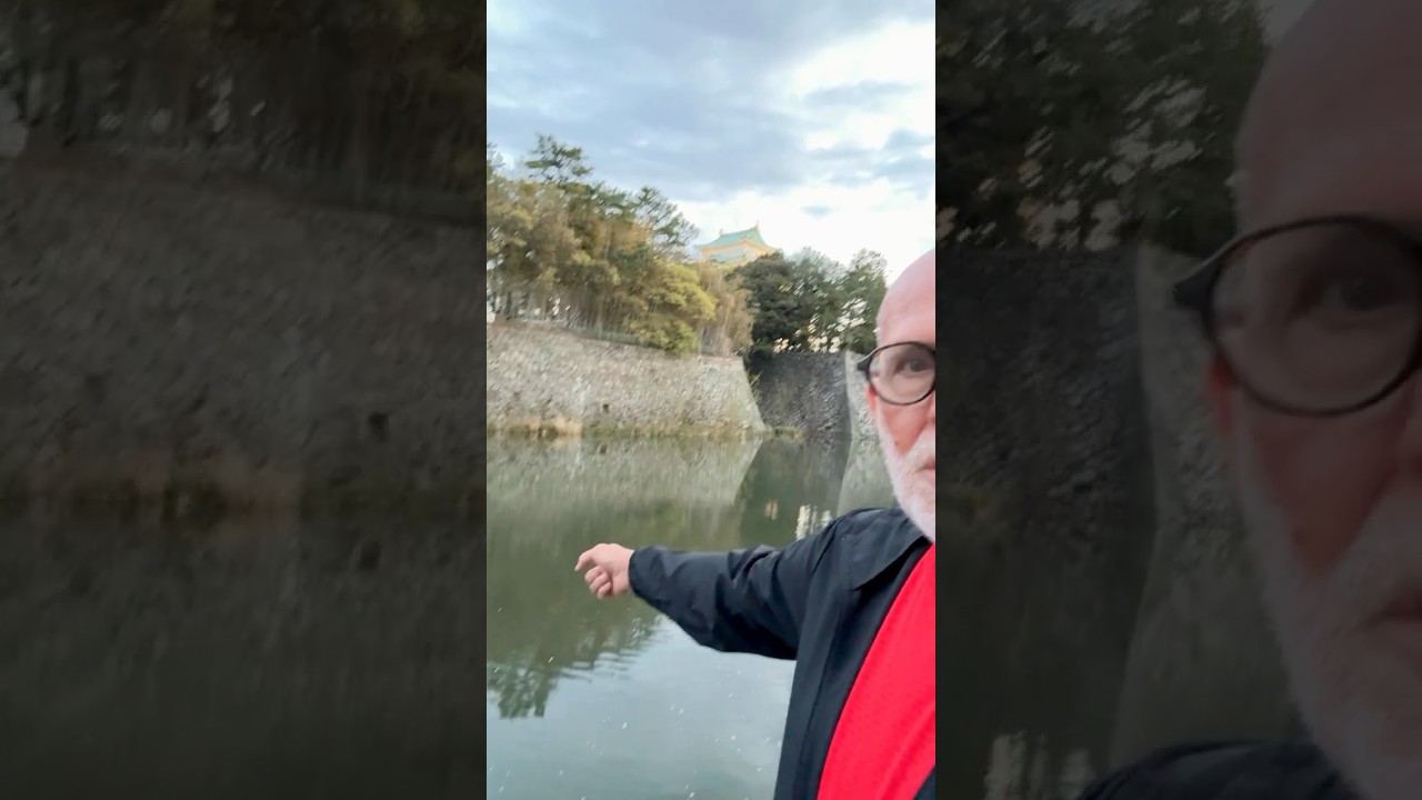 Cherry Blossoms Led Me to Japan's Belonging Secret #japan #sakura #belonging