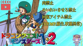 【イル編】#15『縛りをしながらマルタを救う旅』【ドラゴンクエストモンスターズ1・2 星降りの勇者と牧場の仲間たち】