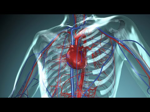 MOR112-B1  17-05-21  Anatomia y Fisiologia