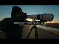 Introducing the Canon RF800mm F5.6 L IS USM with Explorer of Light Charles Glatzer