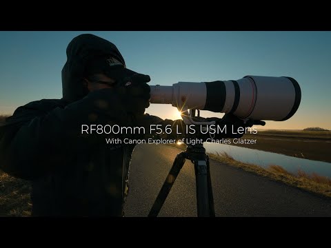 Introducing the Canon RF800mm F5.6 L IS USM with Explorer of Light Charles Glatzer