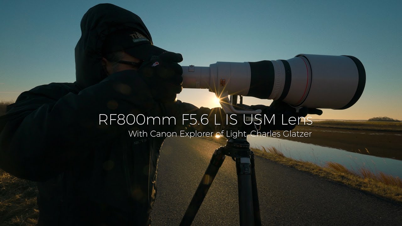Canon RF 800mm f/5.6 L IS USM