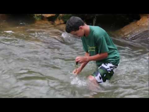 Junior Scientists Restoring Brazil's Rainforest