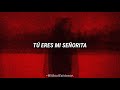 Sum 41 - Ma Poubelle / Subtitulado