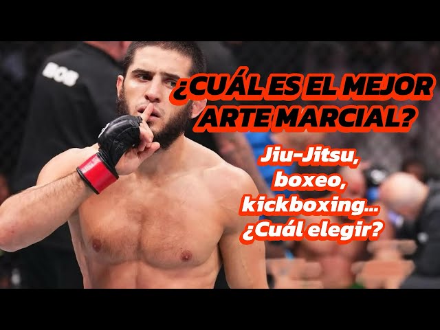 Vídeo relacionado con FITIZ Muñeco de boxeo para artes marciales mixtas (sin relleno) brasileño BJJ JIU Jitsu, posición de pie, chupete para lucha, artes marciales, boxeo, karate, entrenamiento (70 pulgadas, negro/azul)