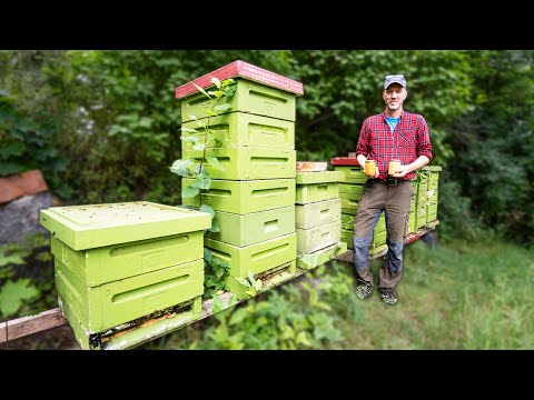 Day in the Life of a Professional Beekeeper