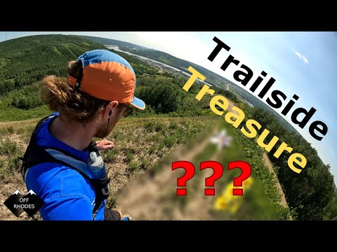Trailside Treasure Hunting | Early summer trail running in the Peace Country