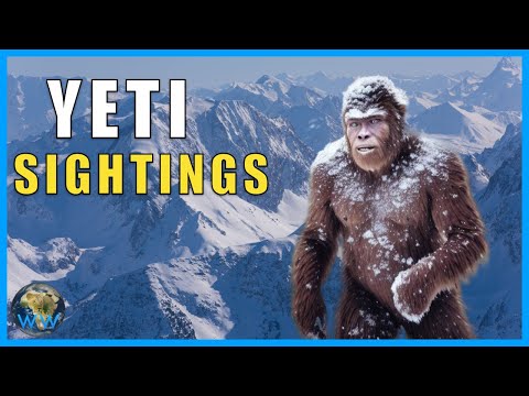 Unveiling the Mystery: The Truth Behind the Yeti