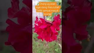 Download lagu This is the person whose hand will be held until he enters heaven #lecture #shortvideo #motivation mp3