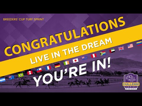 2023 Coolmore Wootton Bassett Nunthorpe Stakes- Live In The Dream