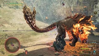Monster Hunter Wilds うぬは真の強者たるか 1乙のSランク