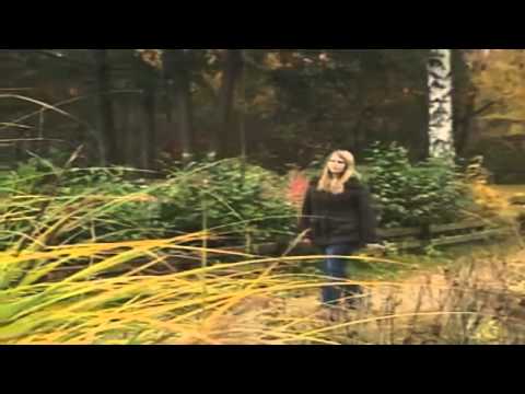 Probleme mit dem Ich Schicksale in der Jugendpsychiatrie Teil 5