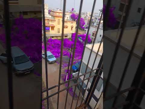 Purple land #nature #aesthetic #love #photography #beautiful #cute #tutorial #art #gojosatorufanart