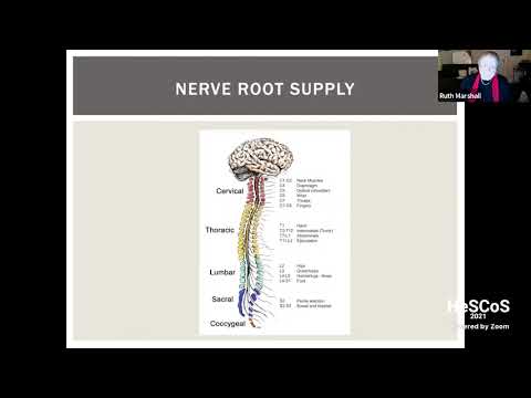 Marshall R. - Lower limb over-exercise – When Less is More