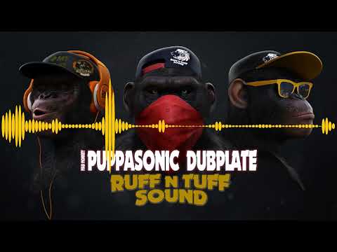 Puppasonic  Mad Monkey  - Dubplate (2021)