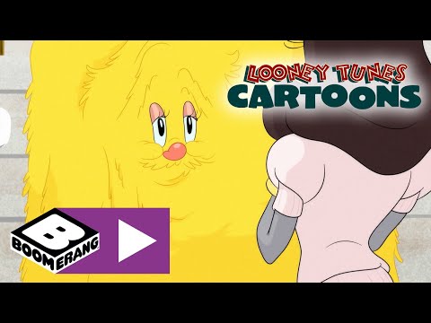 Looney Tunes Cartoons | Elmer's Big Date | Boomerang UK - YouTube
