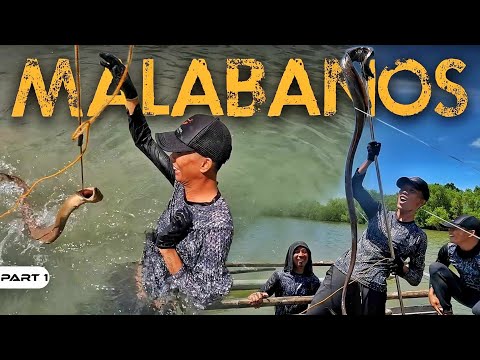 P1-PANGHUHULI NG MALABANOS - EP1138