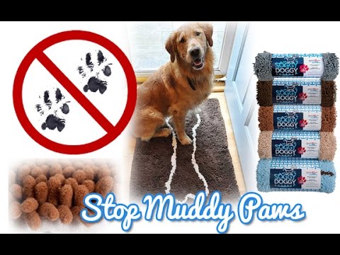 download lagu mp3 mp4 Soggy Doggy Runner, download lagu Soggy Doggy Runner gratis, unduh video klip Soggy Doggy Runner