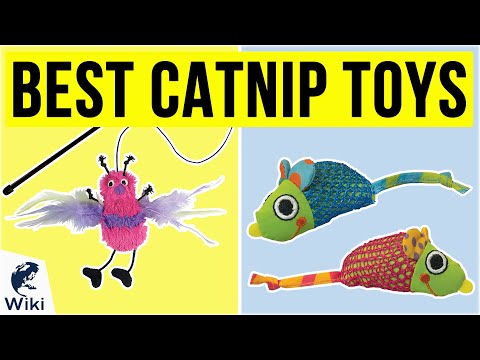 10 Best Catnip Toys 2020
