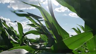 Chris Janson - Who's Your Farmer (Visualizer)