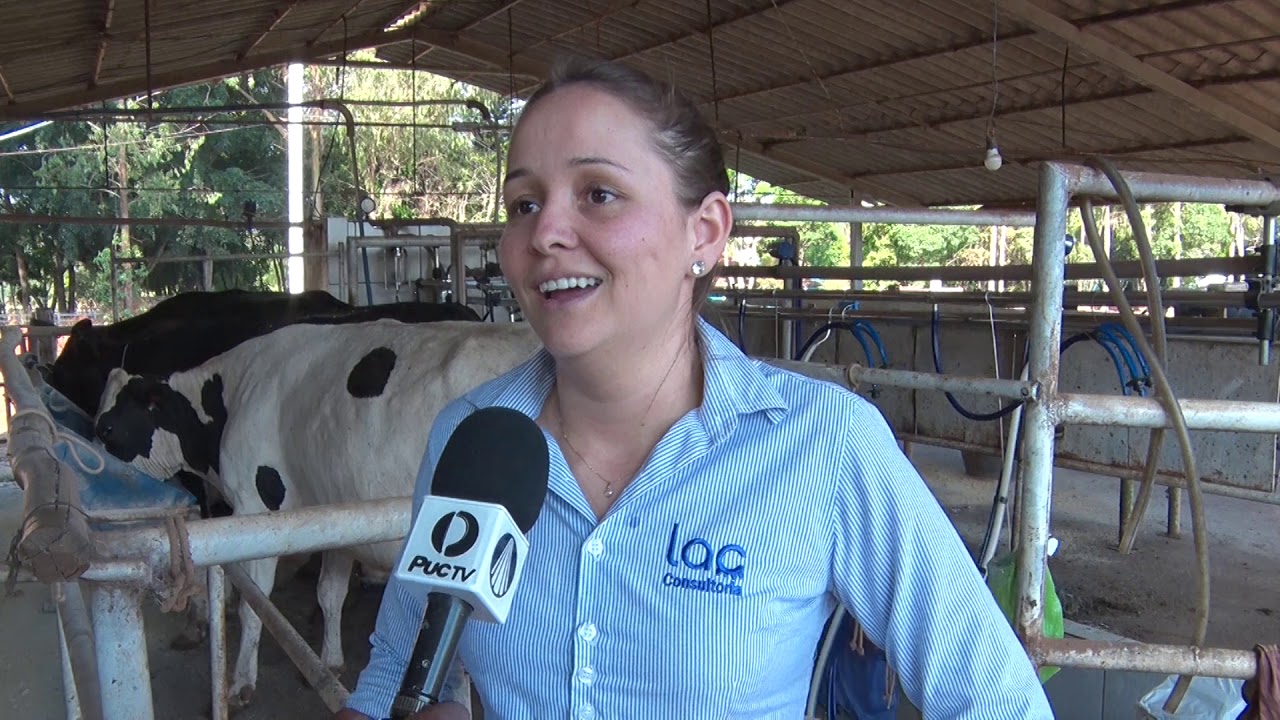 PROFISSÕES DO AGRO: HOJE IREMOS LHE APRESENTAR UM POUCO MAIS SOBRE O ZOOTECNISTA; CONFIRA