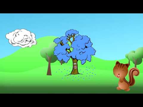 El jacaranda - Maria Elena Walsh - Canciones infantiles para los chicos - Planeta infantil