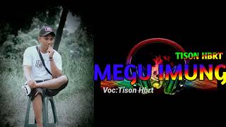 Download lagu lagu remix terbaru daera maumere  kover Tison hbrt 2022🎶 mp3