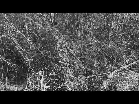 カラビ・ヤウ (Calabi-Yau) - Musique concrète