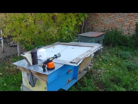 Обработка тактиком пчелы на пасеке Валентина