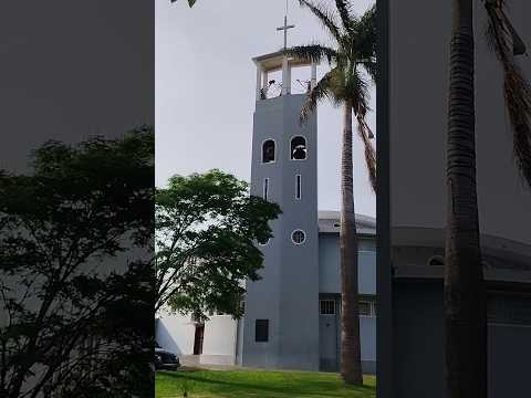 16/10/25, Marechal Cândido Rondon, PR.#turismo #viagem #marechalcandidorondon #parana