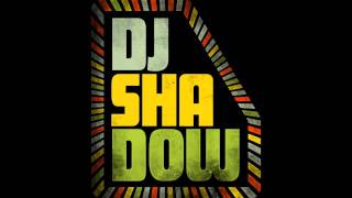 This Time (DJ Shadow) Remix by DJ Cripple Music