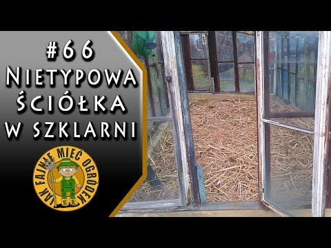 #66 Nietypowa ściółka w szklarni